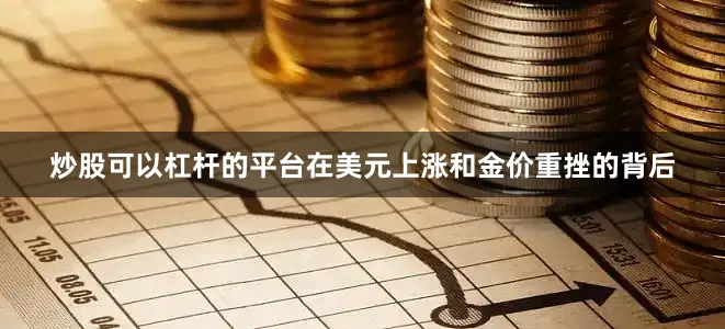 炒股可以杠杆的平台在美元上涨和金价重挫的背后