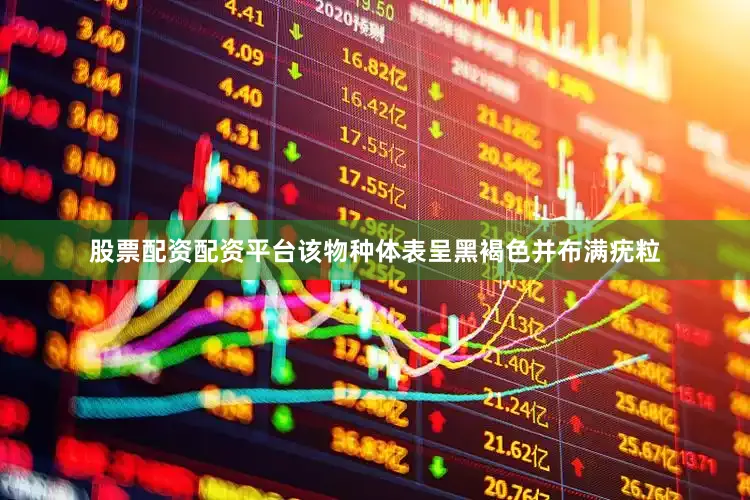 股票配资配资平台该物种体表呈黑褐色并布满疣粒