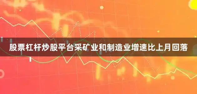 股票杠杆炒股平台采矿业和制造业增速比上月回落